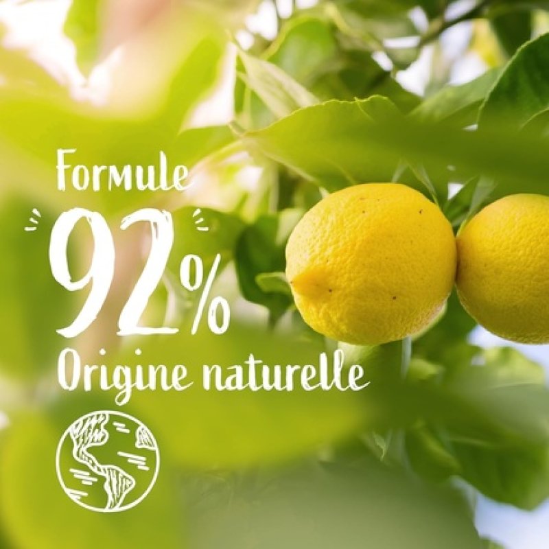 Le Petit Marseillais The Cooker Hand Cleansing Gel 300ml