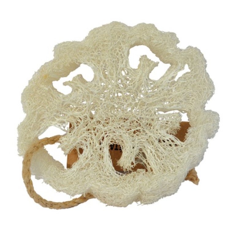 Aleppo Soap Loofah Natural Sponge Flat