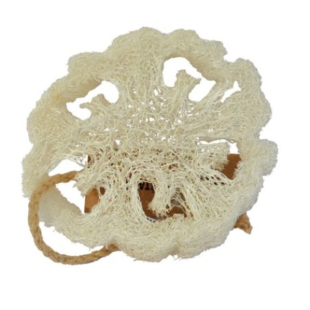 Aleppo Soap Loofah Natural Sponge Flat