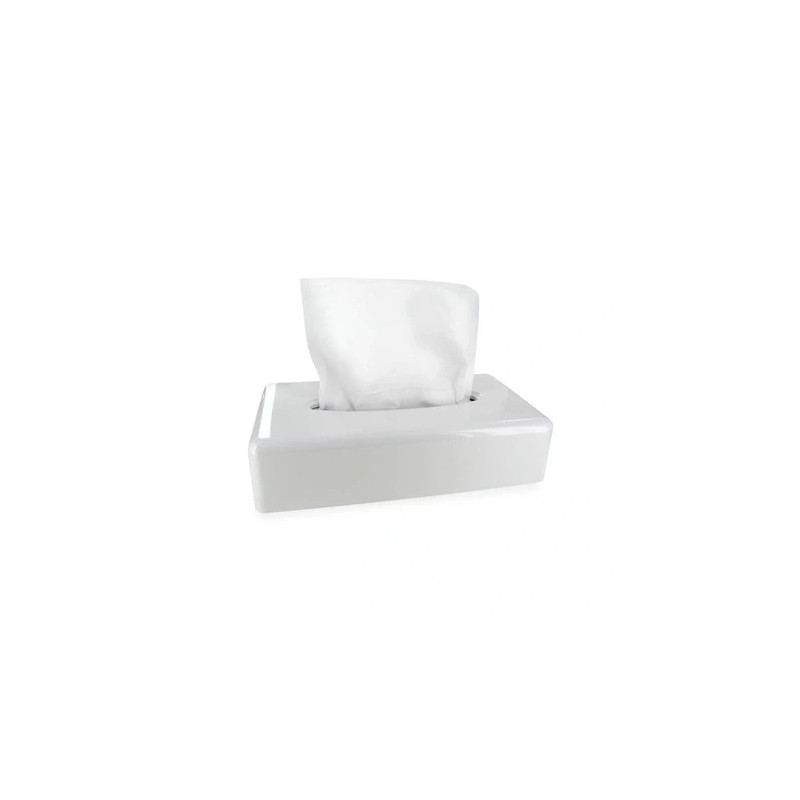 Pbi Plastic Tissue Box White 26*13*6cm