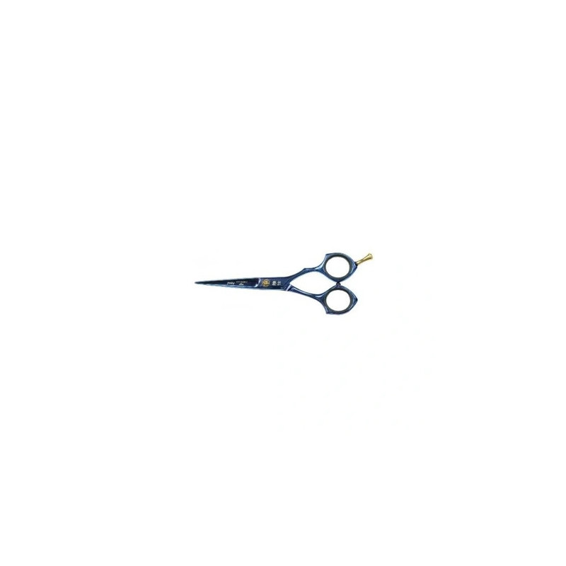 Shophair Cutting Scissors 5.5 Blue Yasaky Hotynium 3