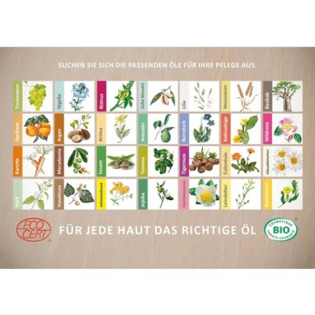 Laboratoire Du Haut-Segala Organic Virgin Jojoba Oil 50ml