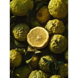 Adopt Paris Reverie 30ml Eau De Parfum Ladies' Perfume - Romantic Blushing Fragrance