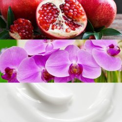 Calvin Klein Euphoria Body Lotion 6.7oz/200ml Women New Sealed