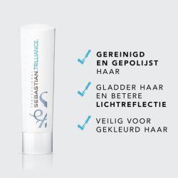 Sebastian Foundation Trilliance Conditioner 250ml - Illuminating Conditioner for Dull Hair