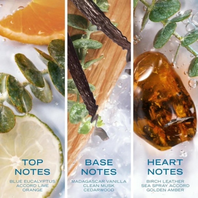 Nautica Pure Blue Eau De Toilette 1.6 Fl Oz, Notes of Eucalyptus