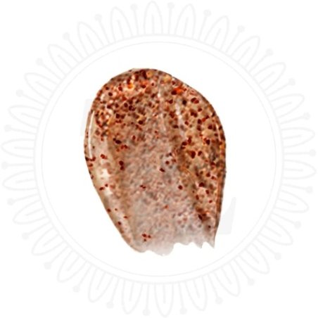 T.Leclerc Complexion Gel Encapsulated Sun 30ml 02 Copper