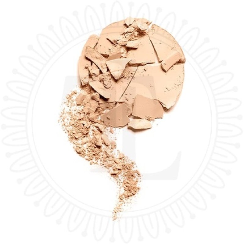 T.Leclerc Powdery Compact Foundation 9g 01 Powdered Flesh