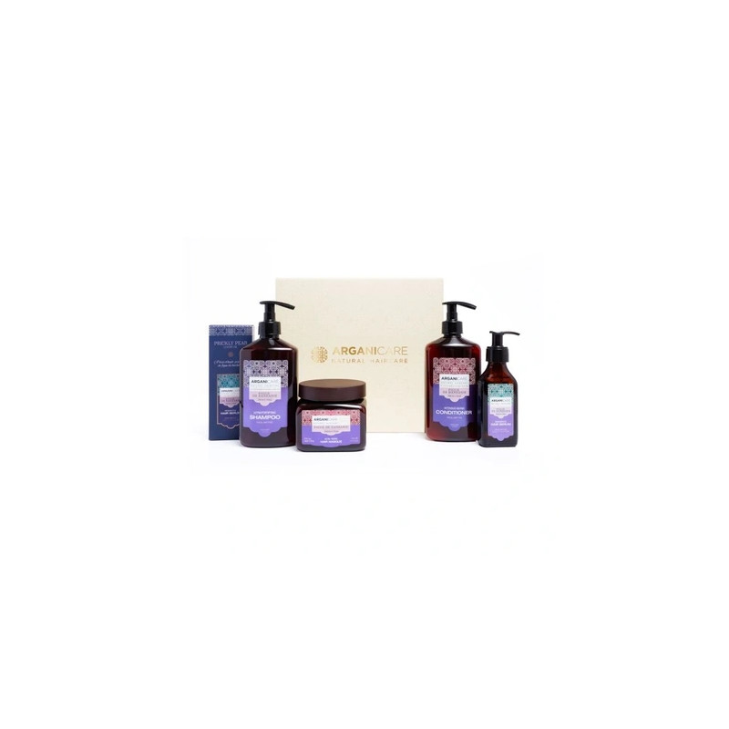 Arganicare Coffret Figue De Barbarie Noel 2024 4 Treatments - Hair Care