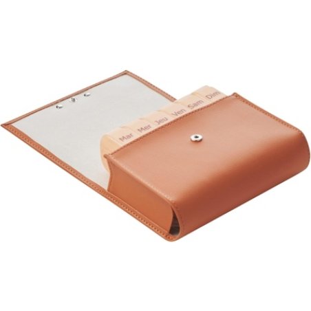 Pilbox Maxi Weekly Pill Box - Wildcat