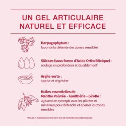 Phytoresearch Cartidol Dietary Supplement for Joint Stiffness