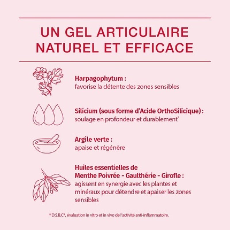 Phytoresearch Cartidol Dietary Supplement for Joint Stiffness