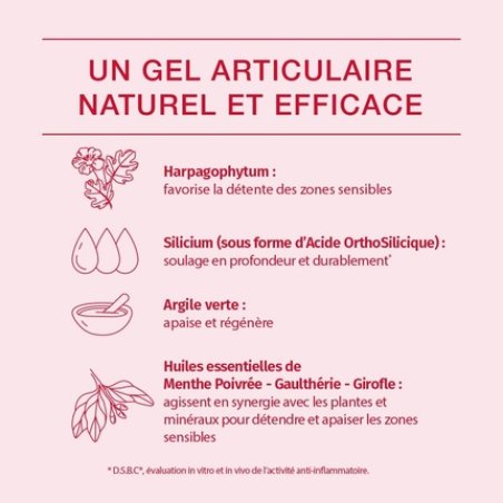 Phytoresearch Cartidol Dietary Supplement for Joint Stiffness