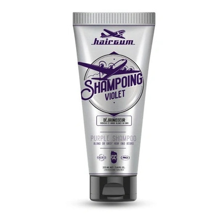 Ariland Hairgum Violet Shampoo For Yellowing - 225ml