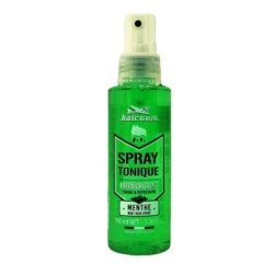 Ariland Hairgum Tonic Spray Mint 100 Milliliters