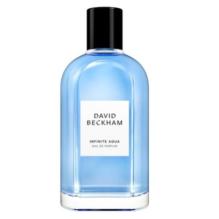 David Beckham Infinite Aqua Eau De Parfum Spray 100ml
