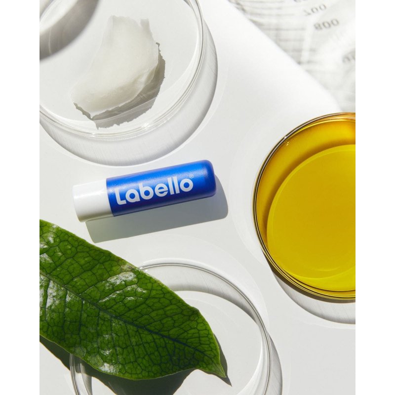 Labello Original & Repair All-Weather Set baume pour les lèvres Beaume pour les lèvres Unisexe 4,8 g