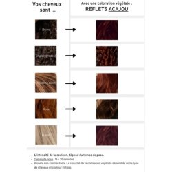 Serge D'Estel Paris Henna Red Natural Hair Color 100g