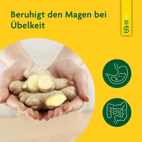 Schoenenberger Ginger Pure Plant Drink 200ml Glass Bottle - Soothes Stomach and Prevents Discomfort - Naturally Freshly