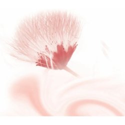 Kneipp Silky Secret - Cream & Oil Body Scrub