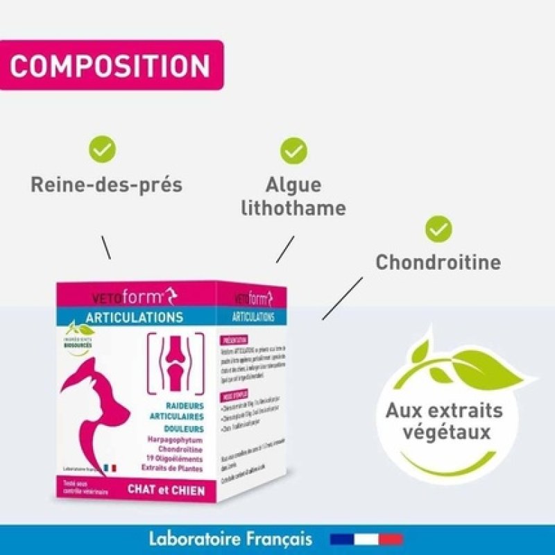 Vetoform Articulation Special Dog 100g