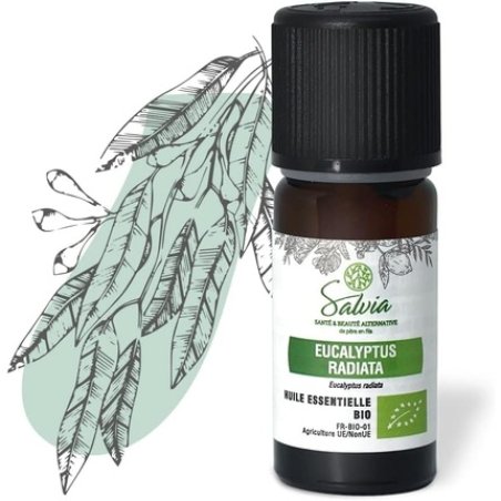 Salvia Organic Eucalyptus Radiata Essential Oil 100% Pure Natural