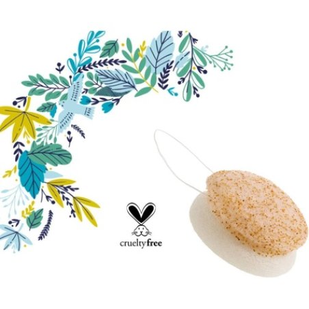 Lady Green 2 in 1 Konjac Face Sponge with Nut Shards