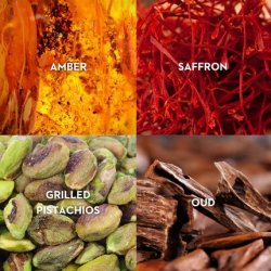 Faces Of Francis 3.4 Fl Oz