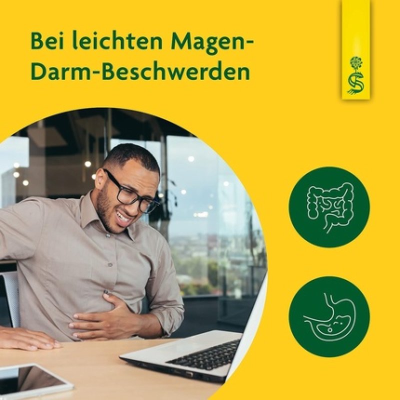 Salus Dandelion Plant Juice 200ml