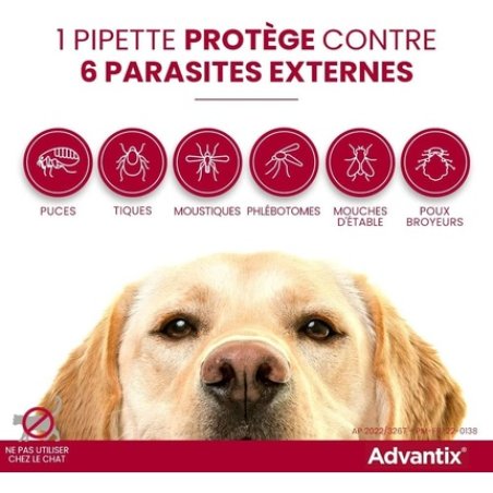 Advantix Spot for Dogs 10-25 Kg