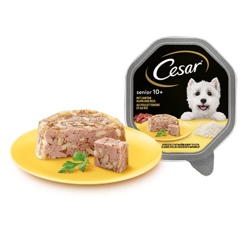 CESAR 4008429006296 pâtée pour chien Poulet, Riz Senior 150 g
