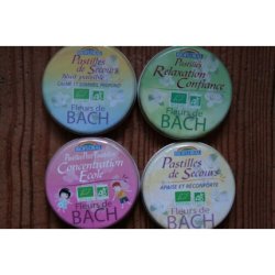 Bach Flower Organic Pastilles Day/Night for Children