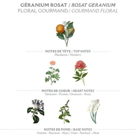 Panier des Sens Rose Geranium Shower Gel with Shea Oil 250ml