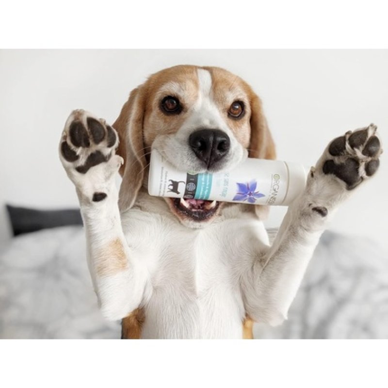 Organissime Ecosoin Organic Leave-In Mousse 200ml