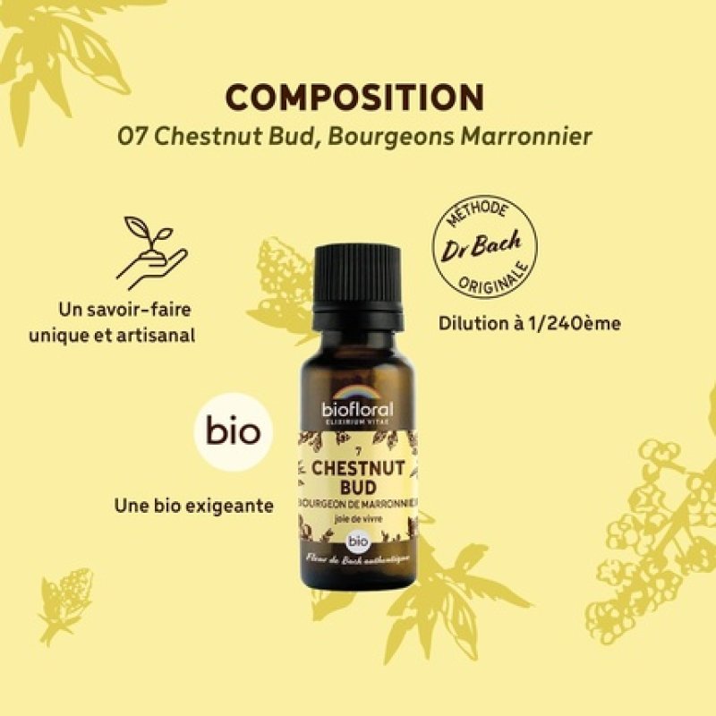 Biofloral 07 Chestnut Bud Organic Horse Chestnut Buds 19.5g Bach Flower