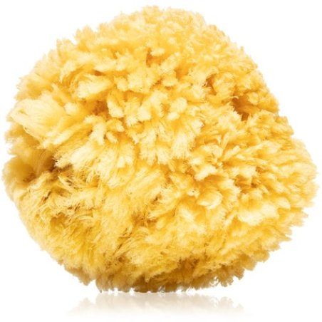 Magnum Caribbean Sea Natural Sponge 14-16 cm