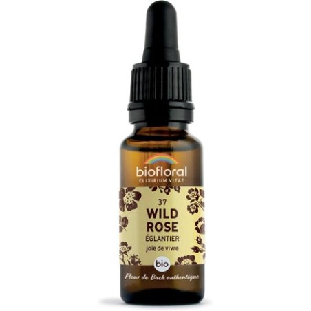Biofloral Elixir Wild Rose No. 37 20ml