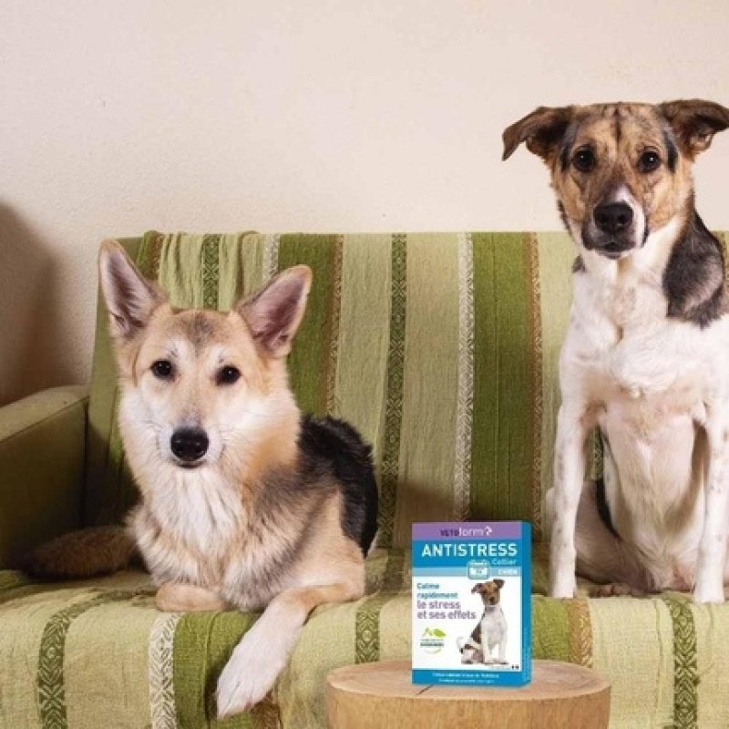 Vetoform Anti-Stress Calming Dog Collar
