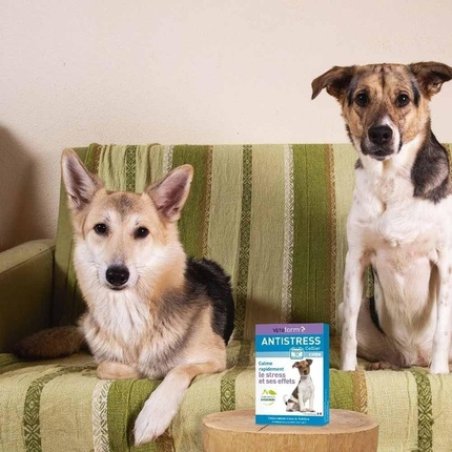 Vetoform Anti-Stress Calming Dog Collar