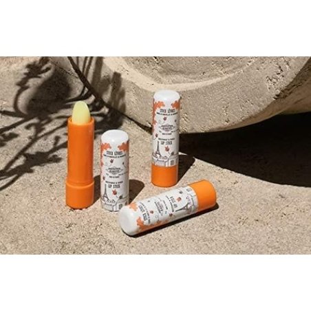Institut Karité Paris Vanilla Scent Shea Butter and Beeswax Lip Balm 4g