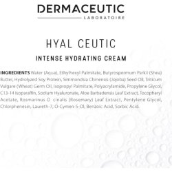 Dermaceutic Hyal Ceutic Intense 24hr Moisturizing Cream with Hyaluronic Acid Aloe Vera Vitamin E and Jojoba Oil 40ml