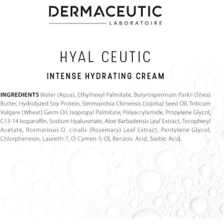 Dermaceutic Hyal Ceutic Intense 24hr Moisturizing Cream with Hyaluronic Acid Aloe Vera Vitamin E and Jojoba Oil 40ml