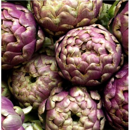 Hepatocare Liver Detoxification Food Supplement 40 Tablets