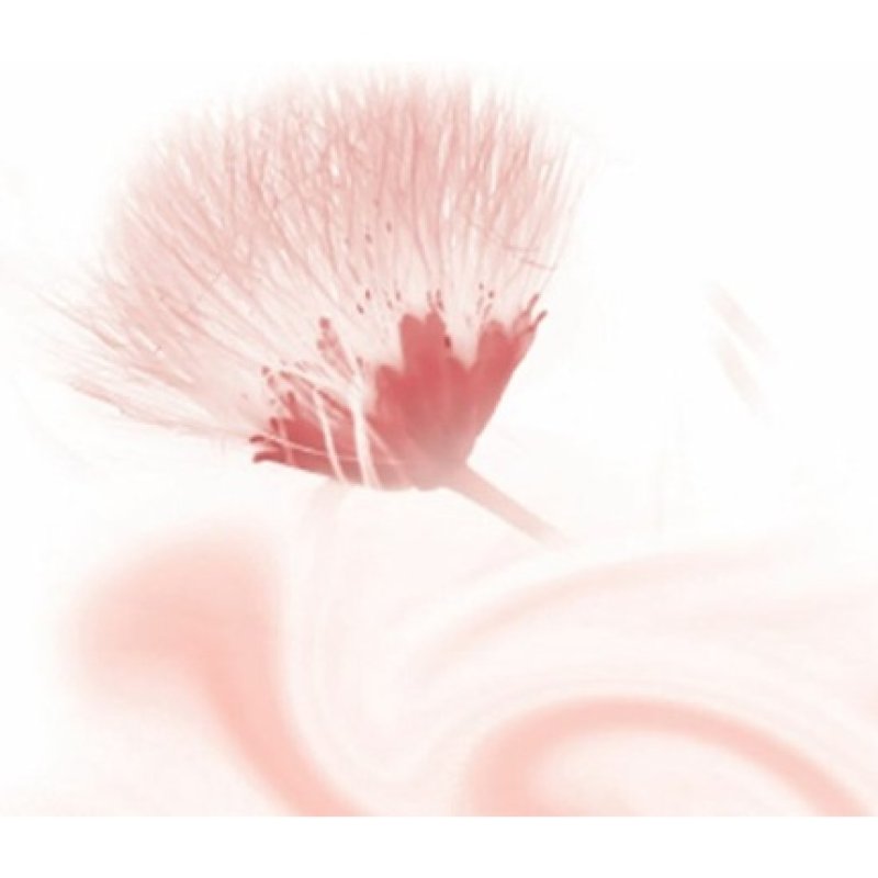 Kneipp Silky Secret - Body Cream