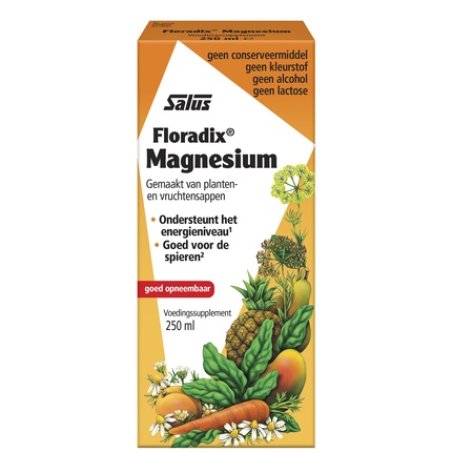 Salus Floradix Magnesium - Health Supplement