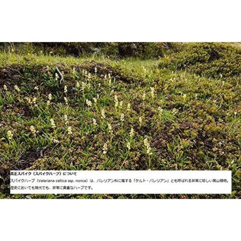 Speick Shampoo and Shower Gel 250ml