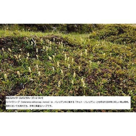 Speick Shampoo and Shower Gel 250ml