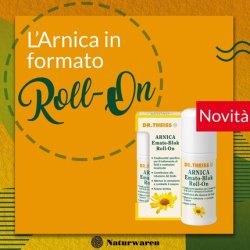 Naturwaren Dr. Theiss Emato Block Arnica Roll On 50ml