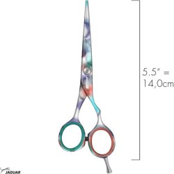 Haar-Schere In Heaven 5.5" Hair Cutting Scissors