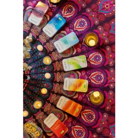 Terre D'Oc Organic Ayurvedic Infusion Teas Spices & Cocoa Beans